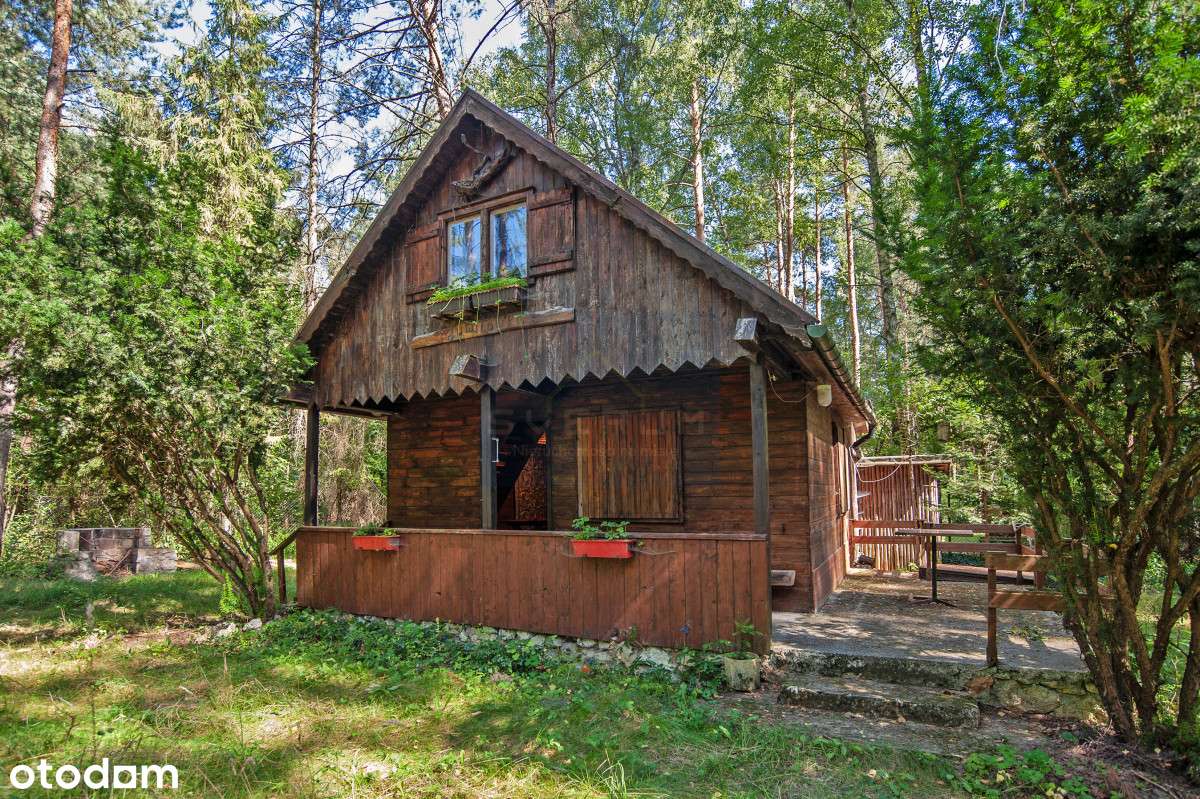 Żarki Letnisko/Dom w środku lasu z dużą działką - Pełny obrazek: 1/19