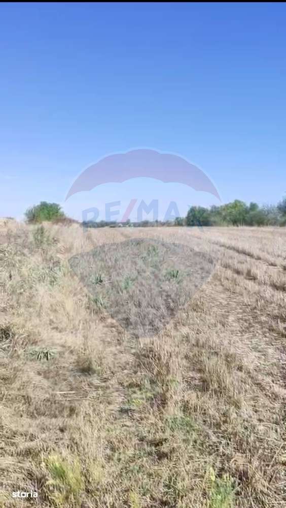 Teren 1,000mp Sat Tantava Strada Tufan-3