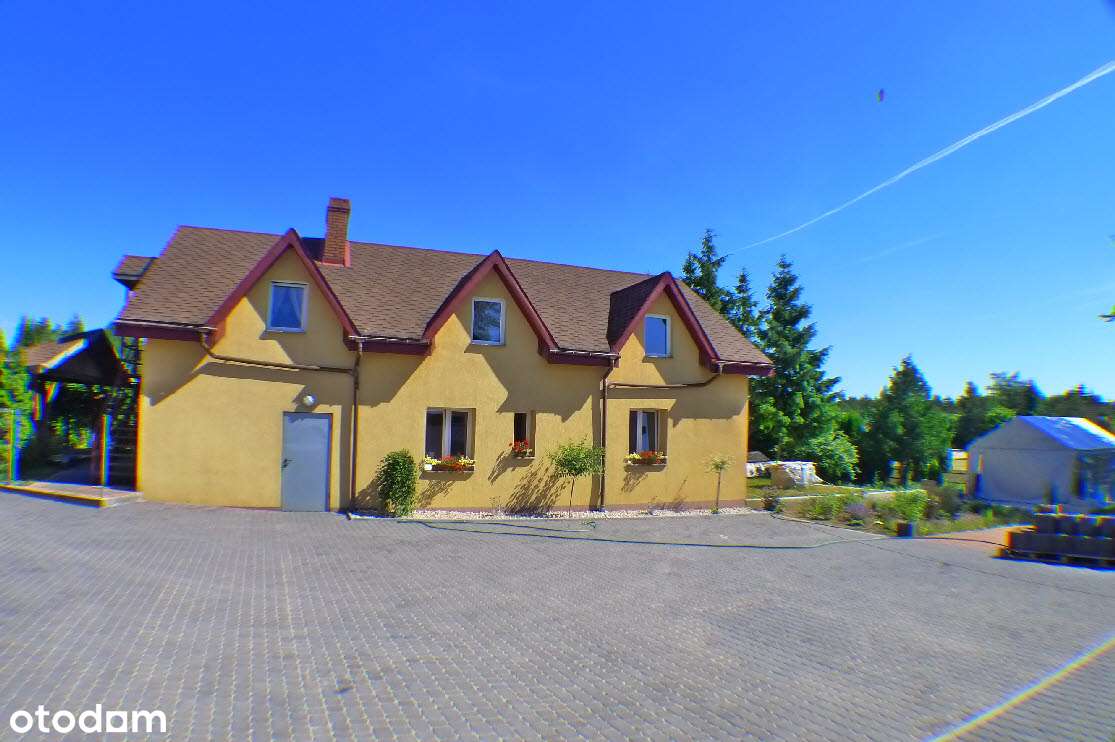 Bakałarzewo - siedlisko w okolicy jeziora - Pełny obrazek: 5/18