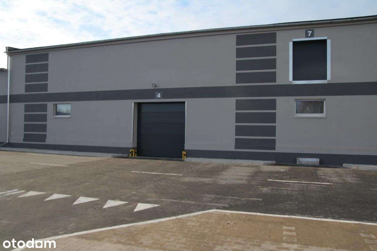 Hala magazynowa do wynajęcia Kąkolewo - Pełny obrazek: 5/8