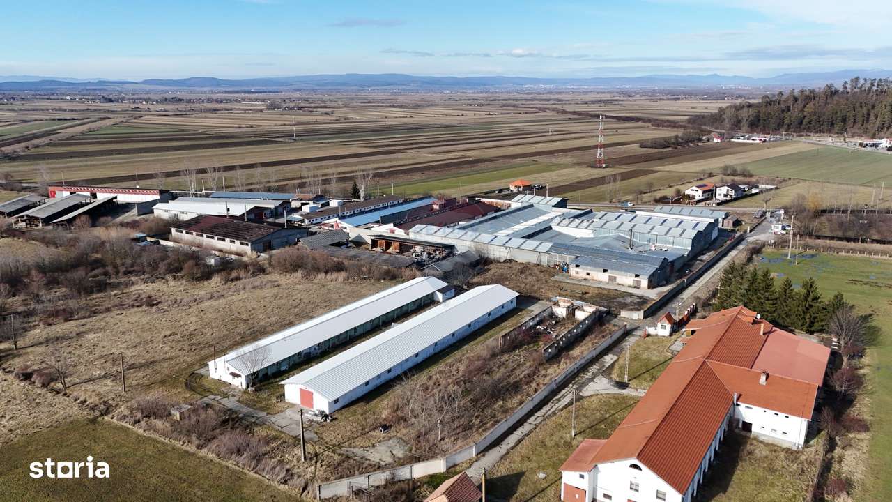 Teren industrial 1.729 mp I Demolare + construcție hală Teliu-5