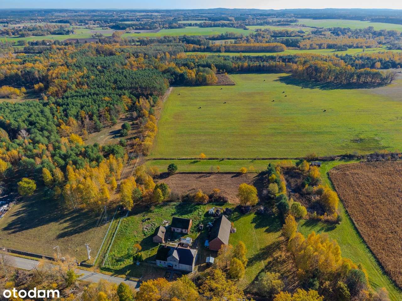 Przy lesie | 40 arów | budowlana | pod Twardogórą-6