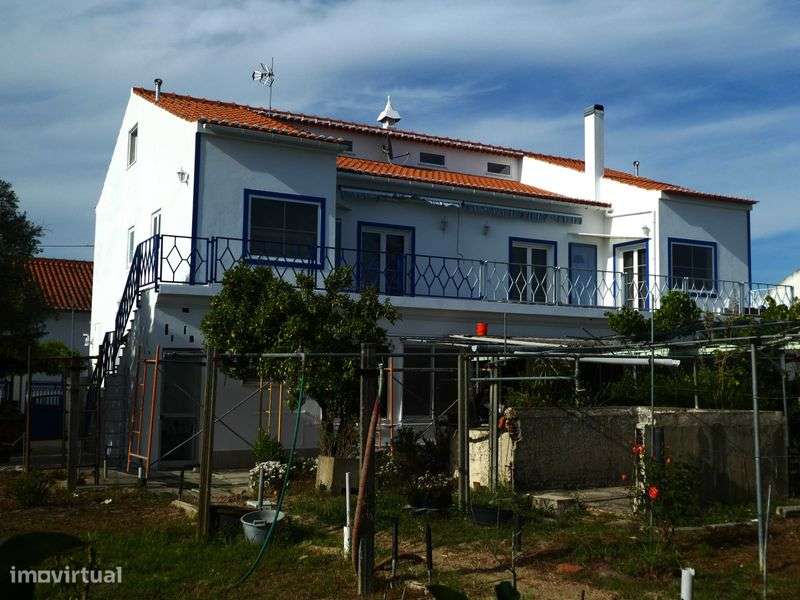 Predio E Propriedade Em Grandola