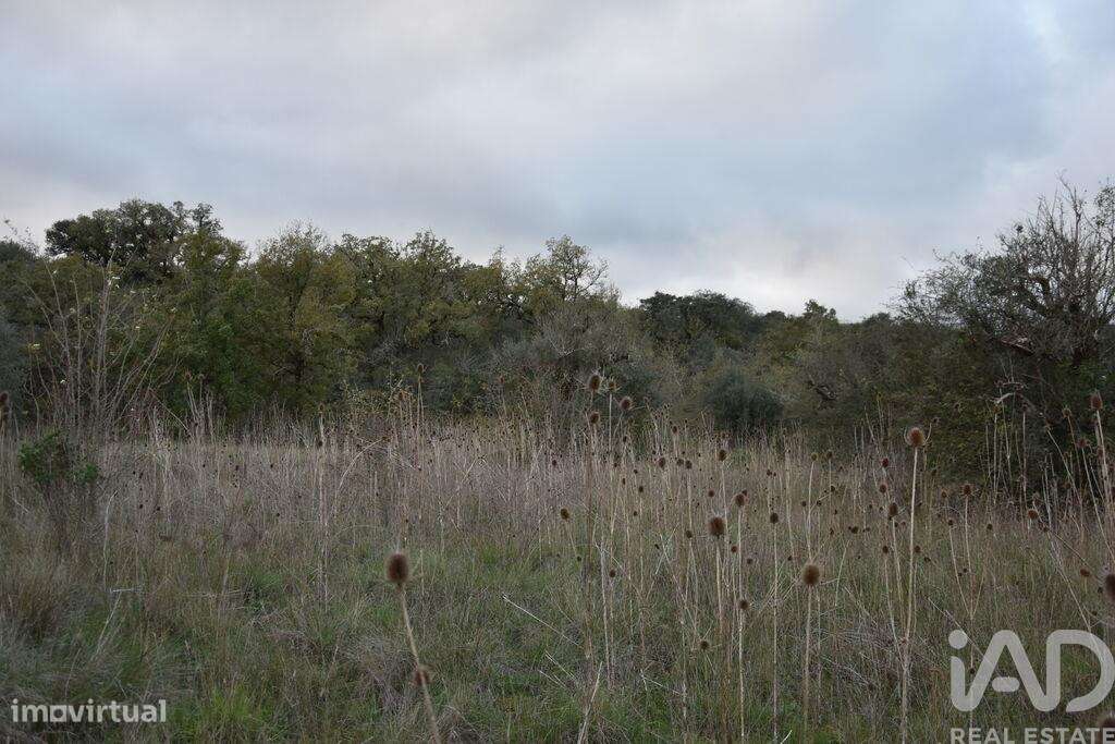 Terreno em Areias e Pias de 2560,00 m2 - Grande imagem: 5/14