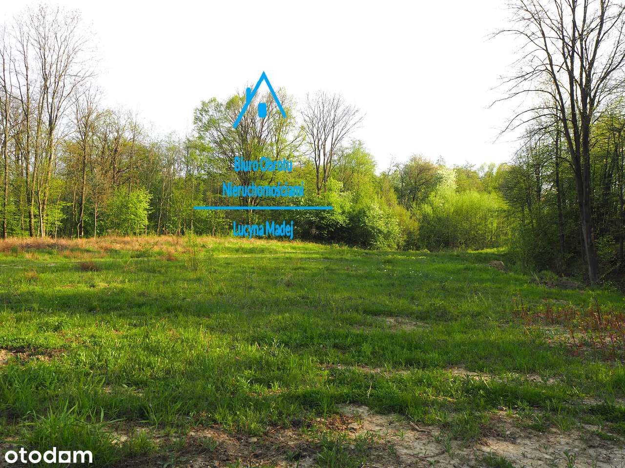 Dz. mieszkaniowo–usługowa, szeregowa 81ar; Mucharz - Pełny obrazek: 4/4