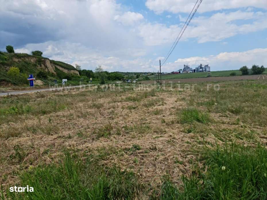 0% Comision -Teren Intravilan – 17.000 mp , Tulcea - Pret Redus! - Imagine principală: 4/5