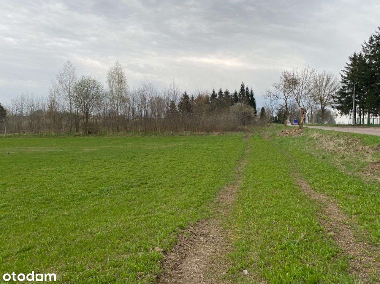 Działka pod budownictwo wielorodzinne ( 5 pięter ) - Pełny obrazek: 4/4