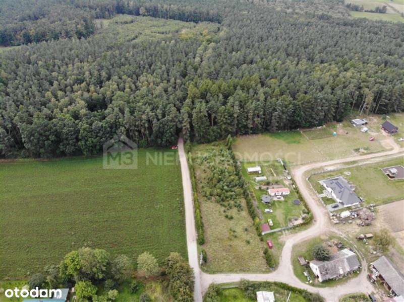 Działka budowlana przy lesie 1508 m2 - Ciecholewy - Pełny obrazek: 5/14
