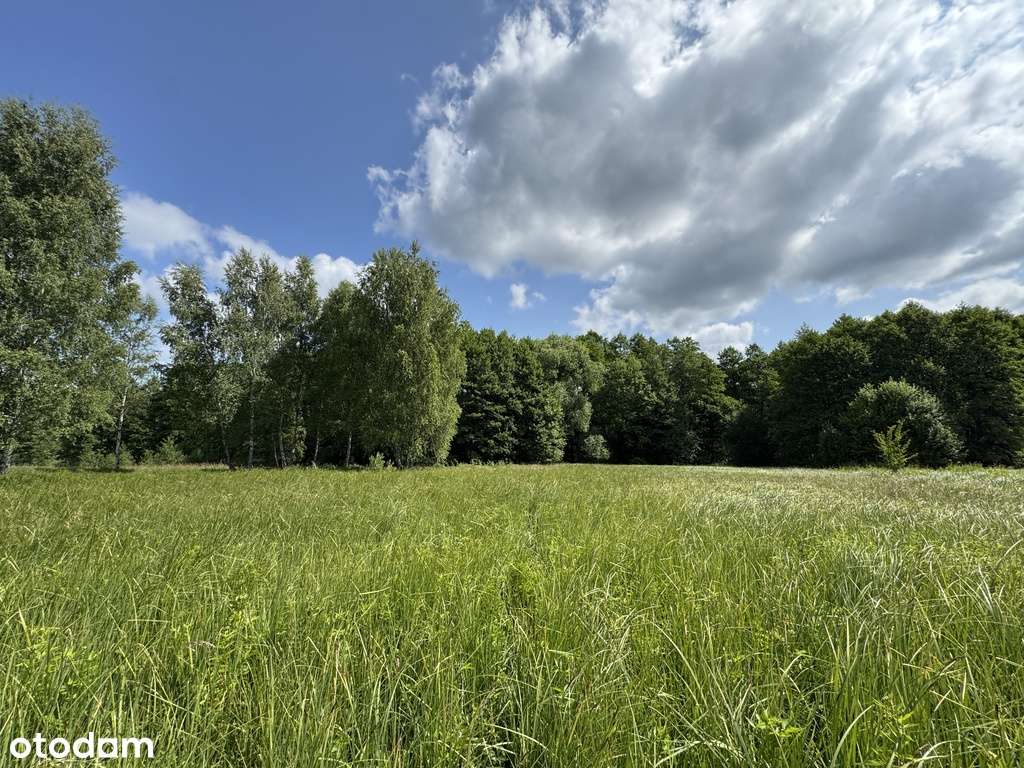 Działka z prywatnym laskiem-3