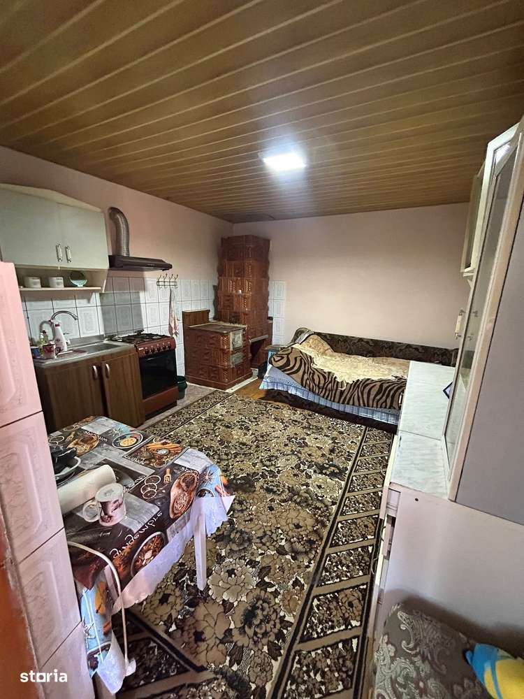 De vanzare casa 3 camere si Teren Pret 55.000 e - Imagine principală: 5/14