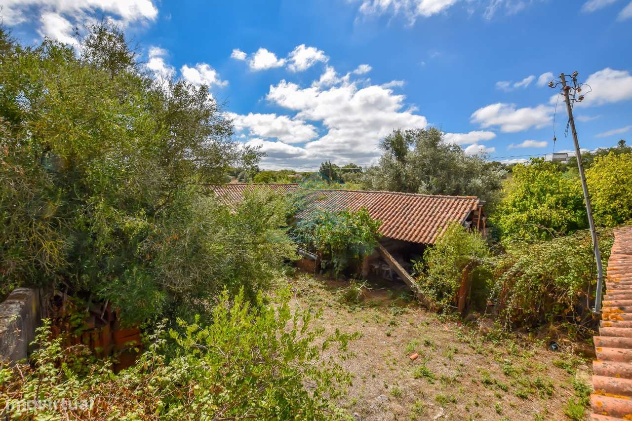 Quinta para remodelar - Torres Novas-20