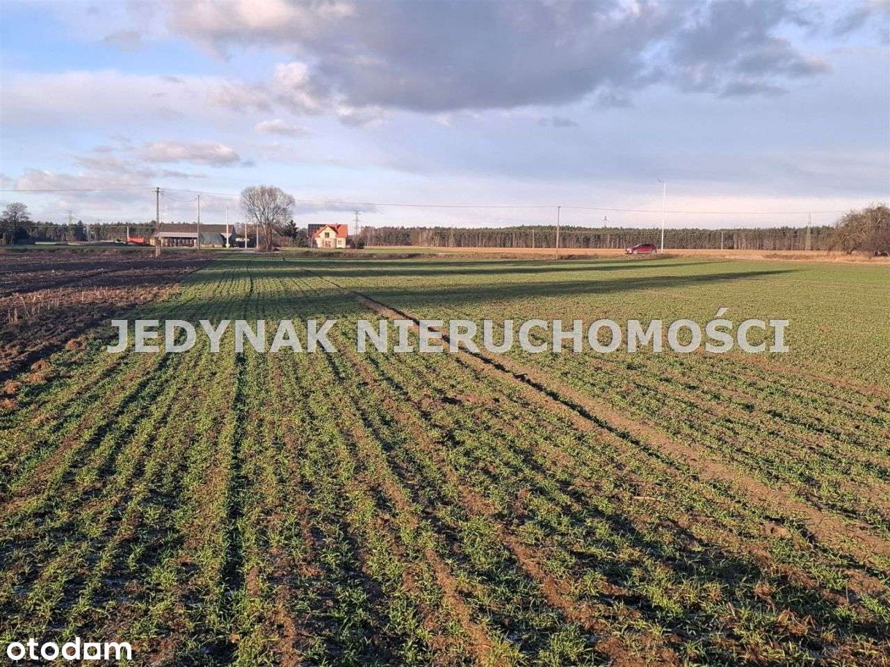 Działka, 1 000 m², Kruszyn Krajeński-2