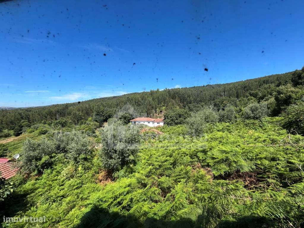 Moradias T4 e T0 em Figueiró dos Vinhos-38