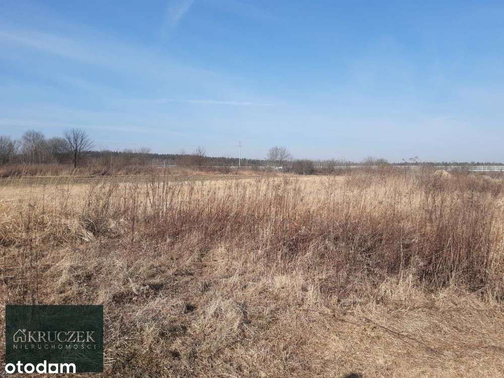 Działka, 7 700 m², Stanisławice