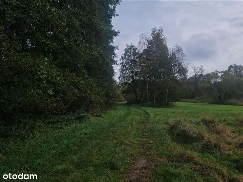 Działka - Nowe Miasto Lubawskie-6