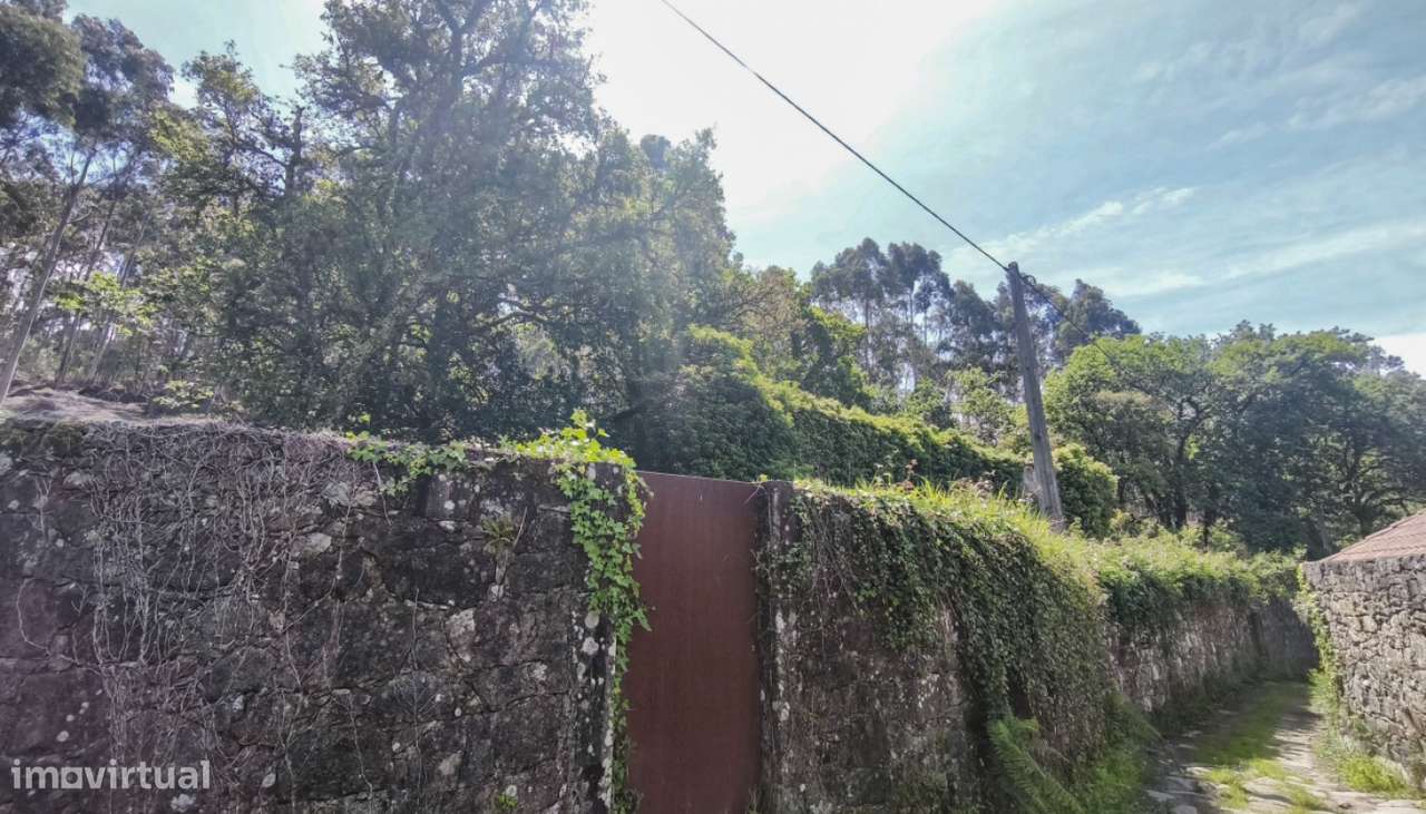 Venda de Quinta, Areosa, Viana do Castelo-25