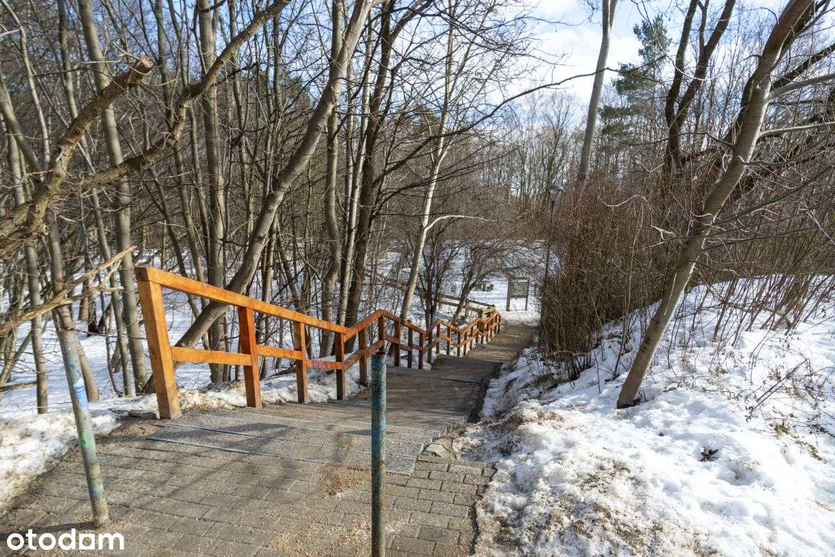 Blisko lasu, parter-16