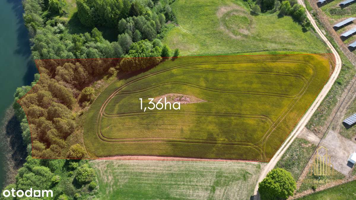 Piękna, duża działka z szeroką linią brzegową!!! - Pełny obrazek: 4/11