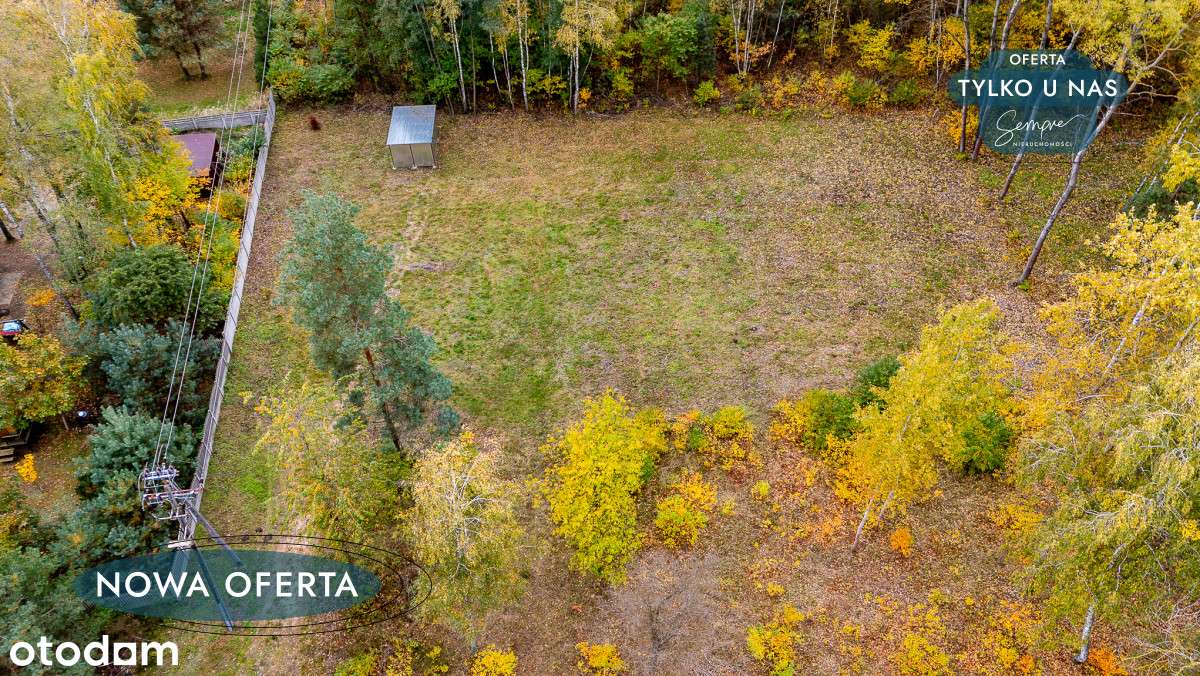 Piękna działka przy lesie ( doprowadzony prąd ) - Pełny obrazek: 5/10