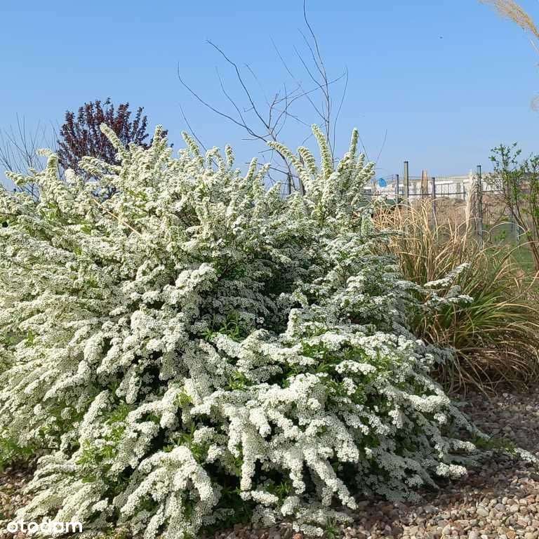 Dom w pobliżu lasu-niskie koszty utrzymania-19