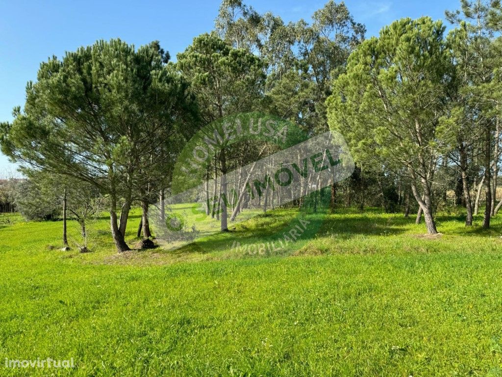 Terreno para construção, Meãs do Campo, Montemor-o-Velho