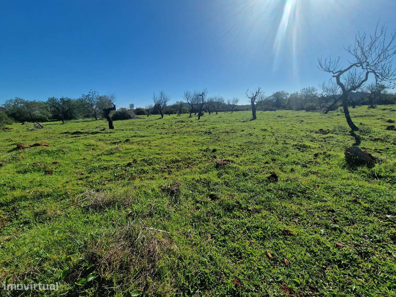 Terreno Rústico - Grande imagem: 5/14