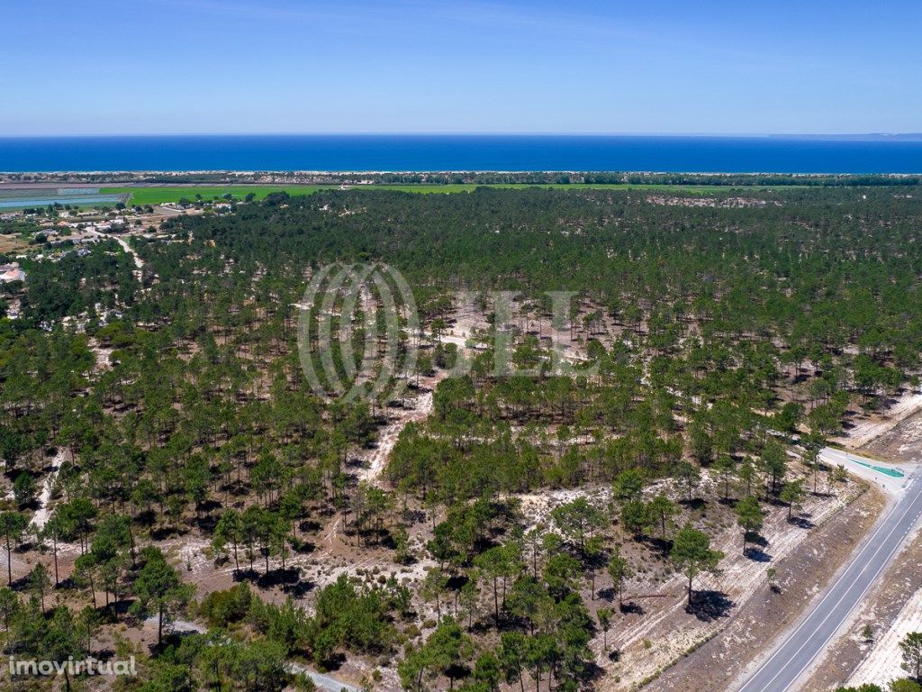 Terreno no Pestana Brejos, Comporta