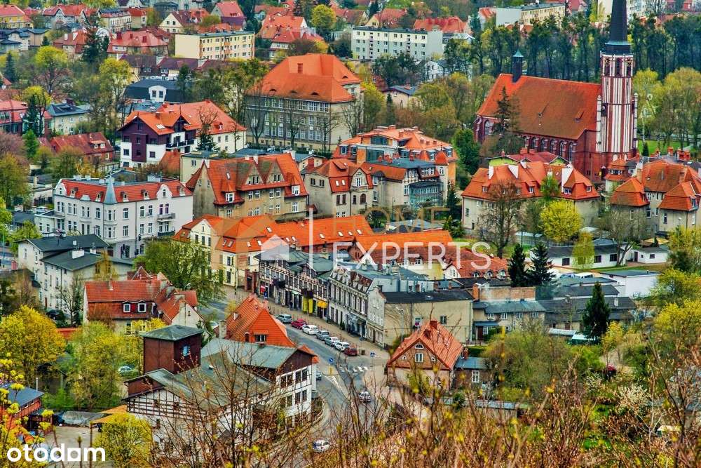 Mieszkanie z potencjałem blisko Parku Oliwskiego! - Pełny obrazek: 1/5