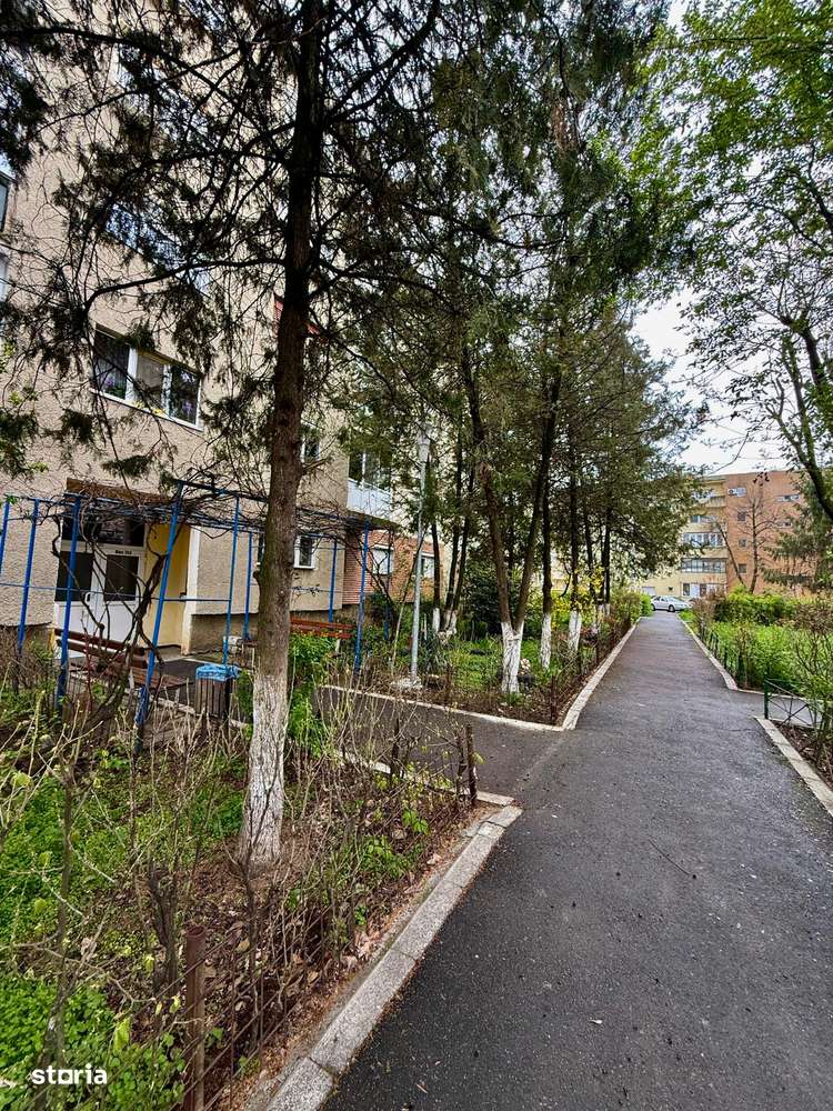 Apartament 3 camere – Miorita, str. Milova