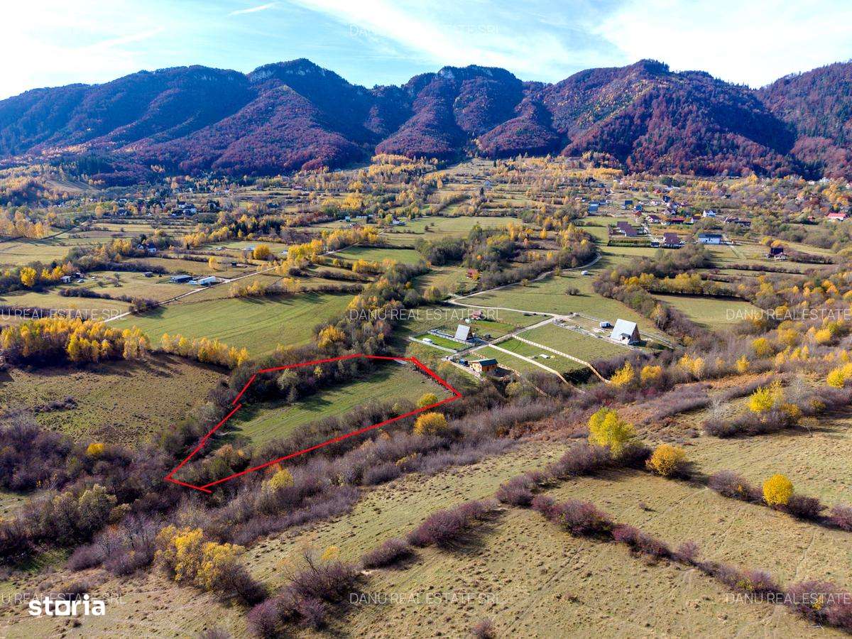 Comision0Teren intravilan 5723mp Zarnesti Tohanita-investitie - turism-4