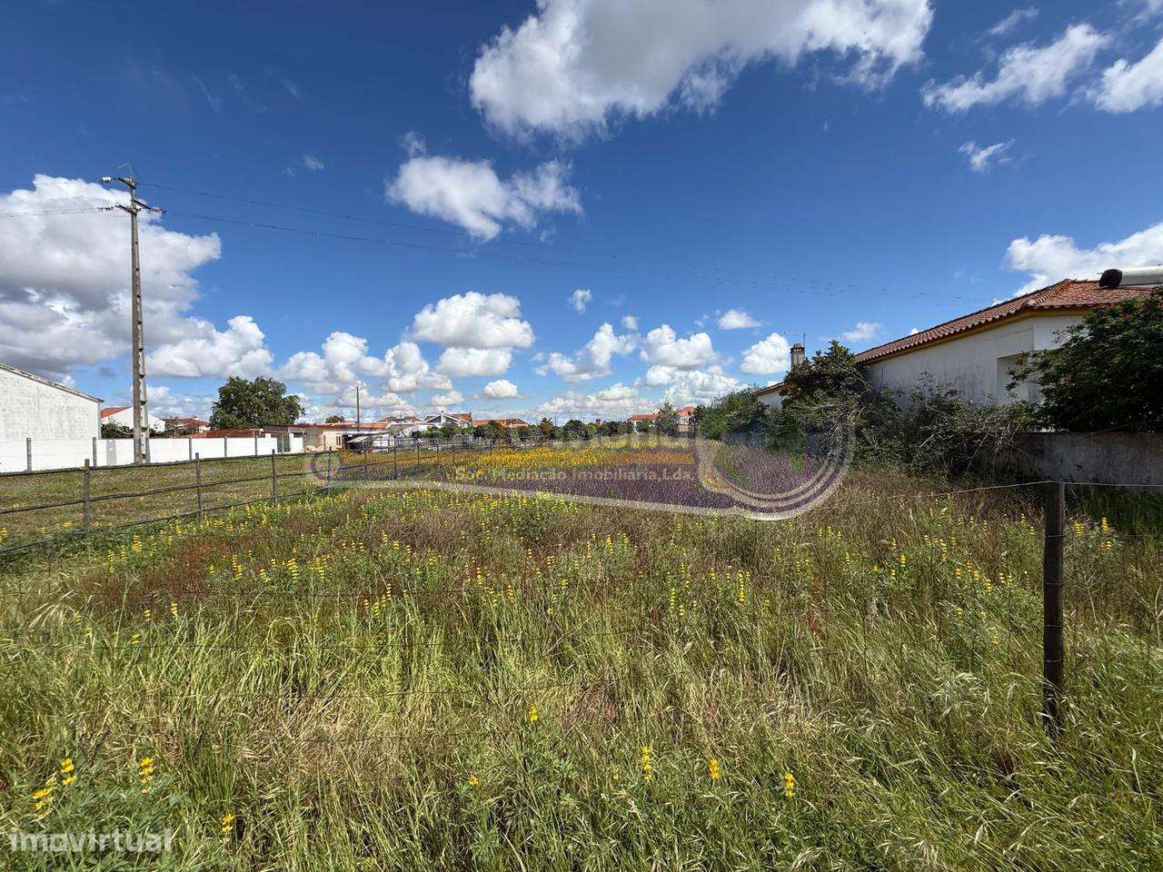 Terreno em Marinhais (M815) - Grande imagem: 5/11