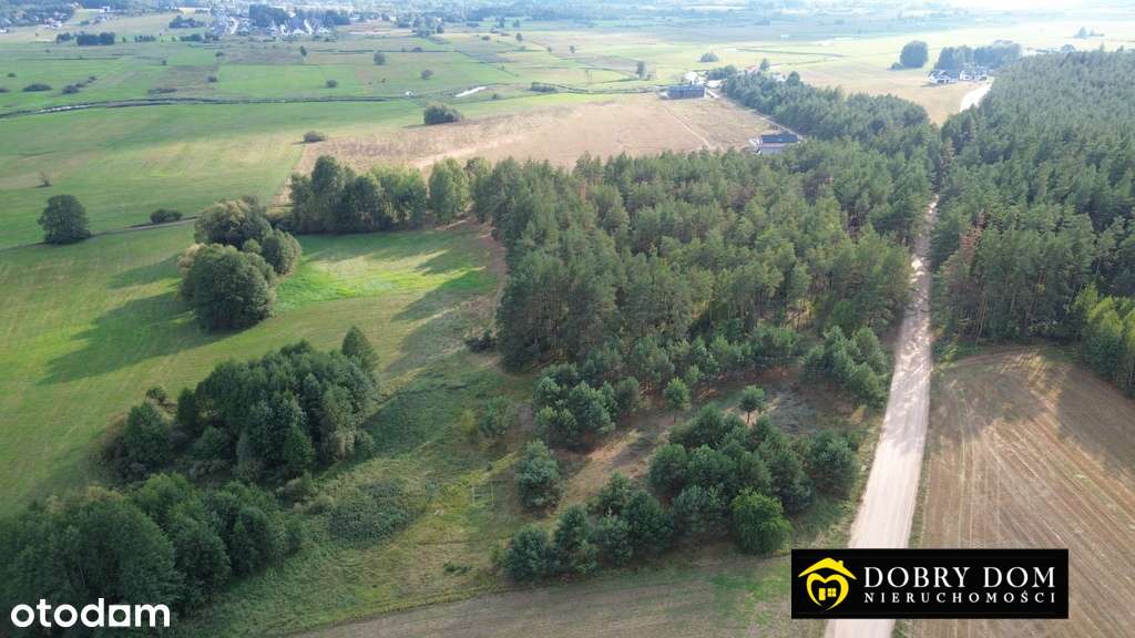 /OGS - Pełny obrazek: 5/7