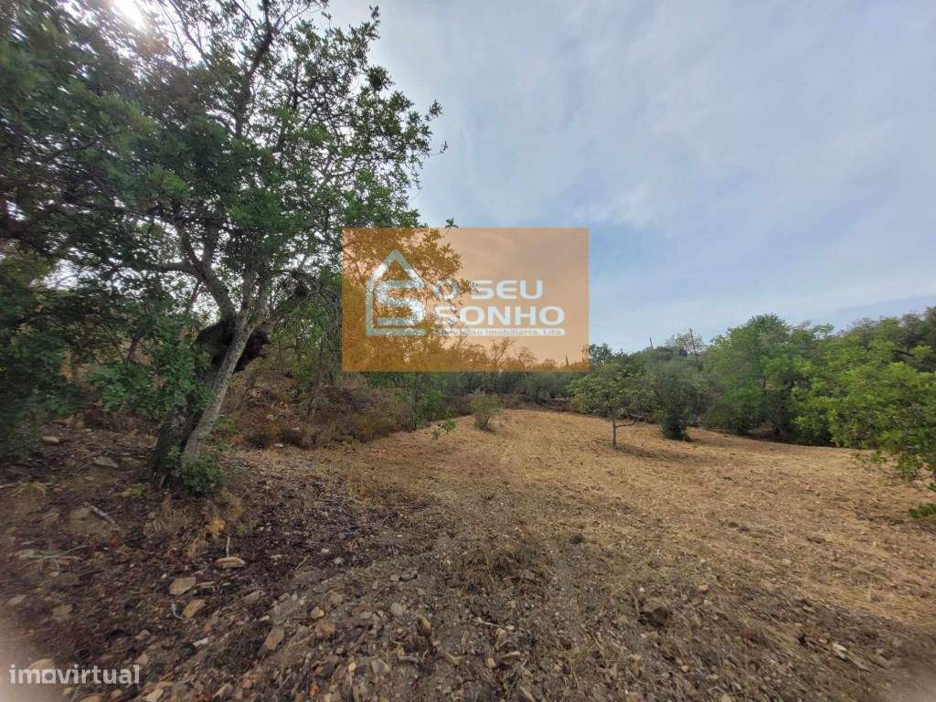 Terreno - Grande imagem: 2/6