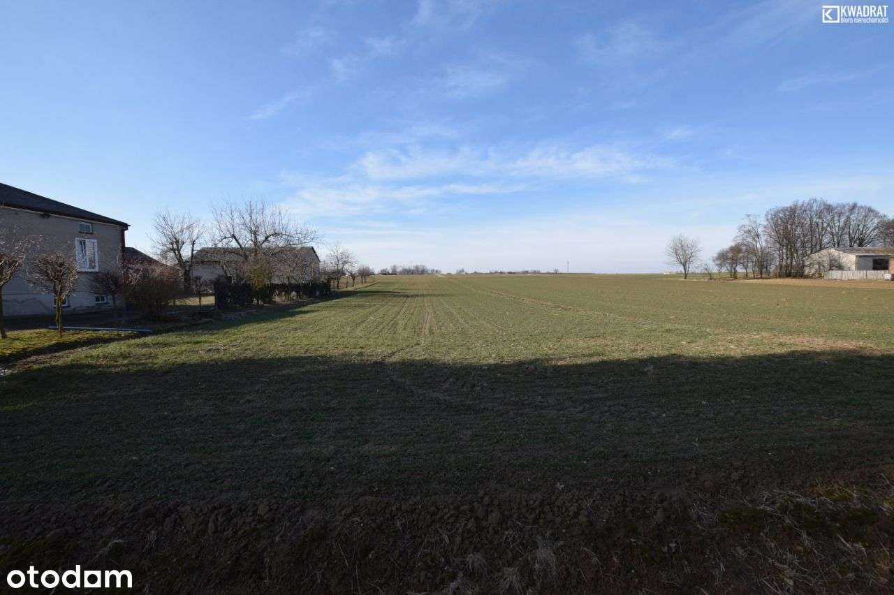 Ignaców/ 20 ar/ działka budowlana - Pełny obrazek: 4/5