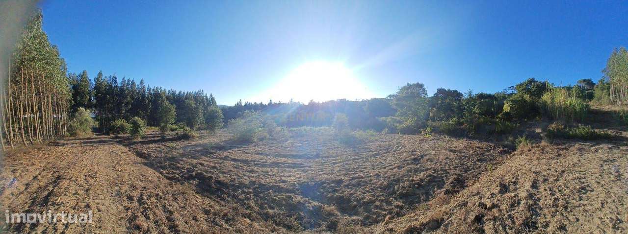 Terreno Rústico em Alcoentre c/ Furo, a 30 minutos de Lisboa - Grande imagem: 4/11