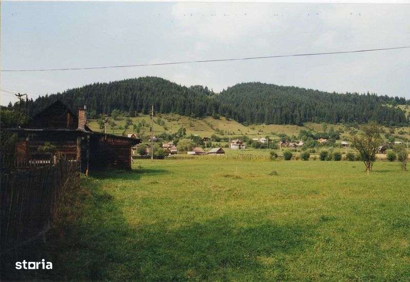 Teren intravilan Lunca Bradului - Imagine principală: 4/6