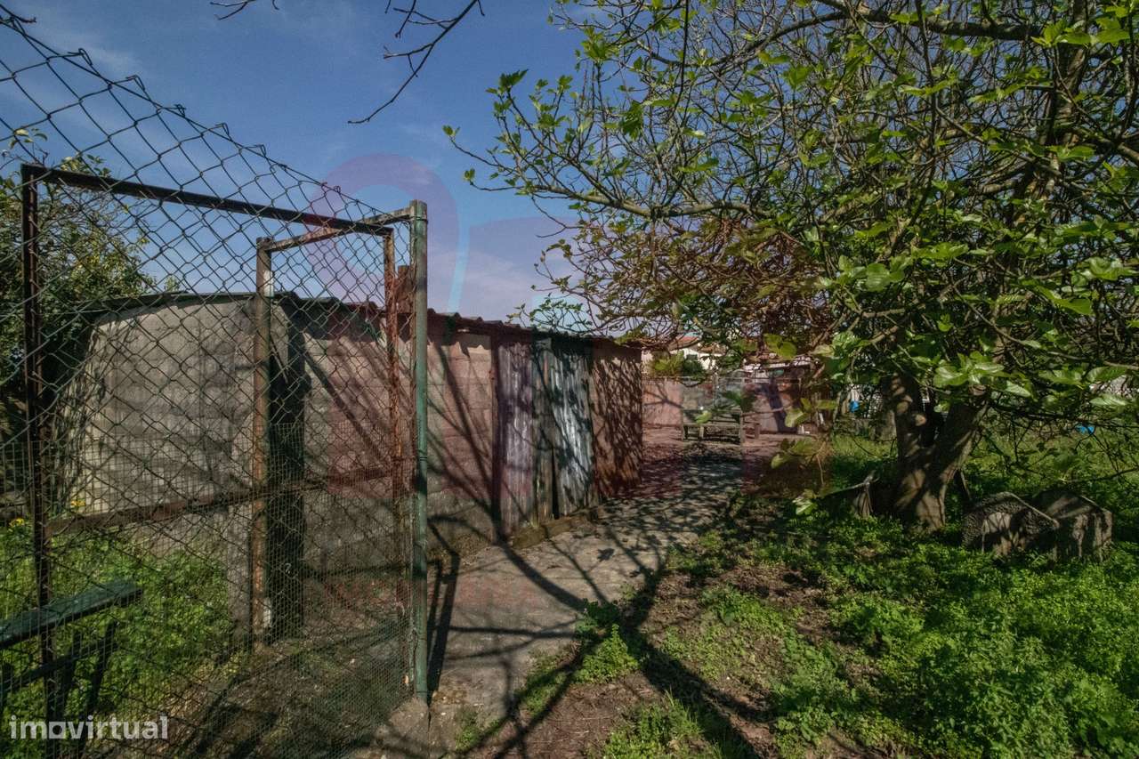 Moradia Isolada T3 Venda em Aves,Santo Tirso-32