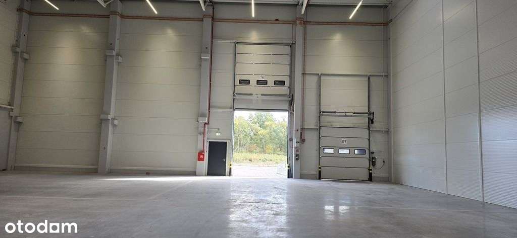 Nowe Powierzchnie Produkcyjne - Pełny obrazek: 5/8