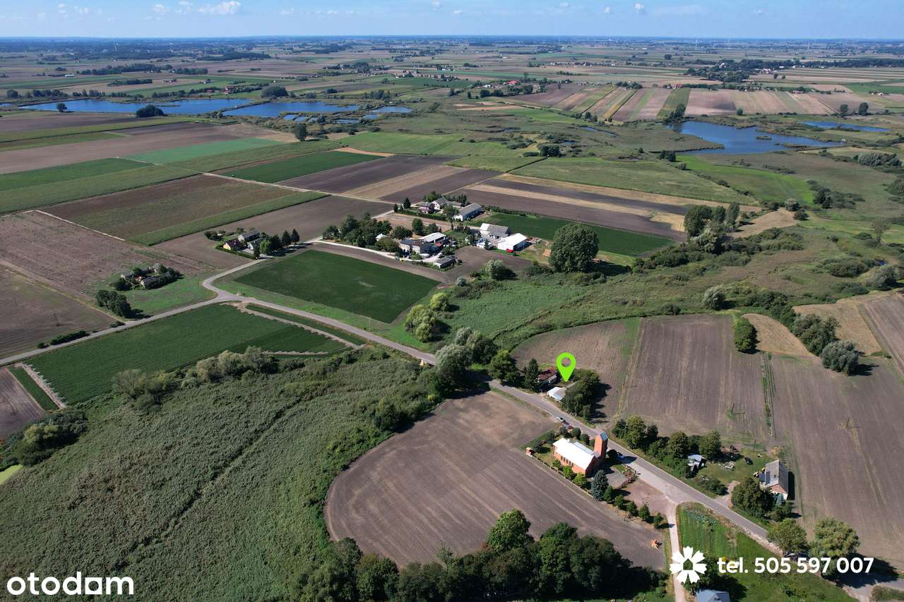 Siedlisko z 1-hektarową działką na Kujawach, blisko Włocławka - Pełny obrazek: 5/17