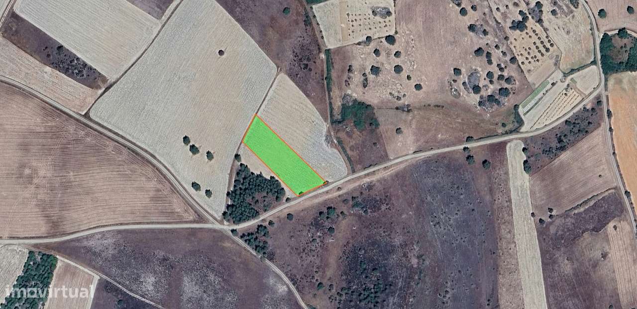 Terreno Rústico  Venda em Junça e Naves,Almeida - Grande imagem: 5/8