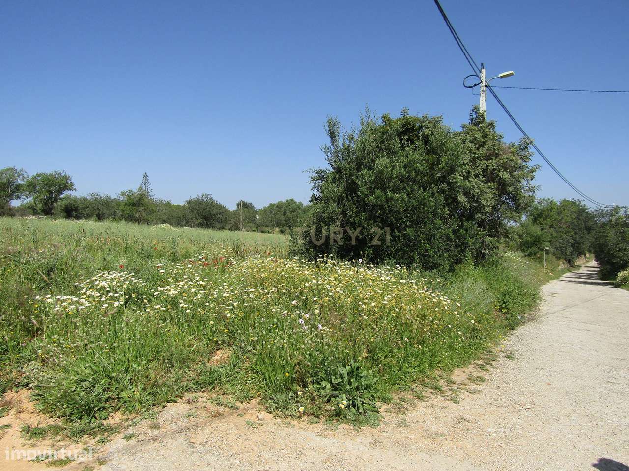 Terreno Rústico na Arroteia - Grande imagem: 3/6