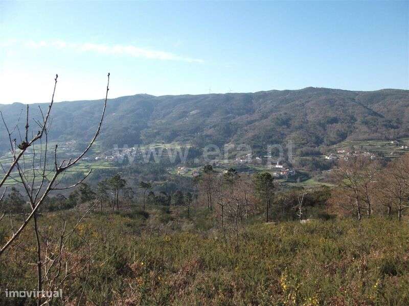 Terreno / Baião, Campelo e Ovil - Grande imagem: 2/11