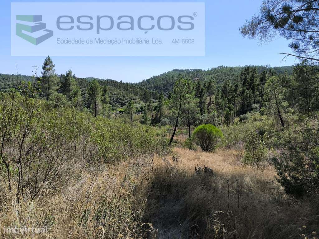 Terreno próximo do rio - Grande imagem: 2/7