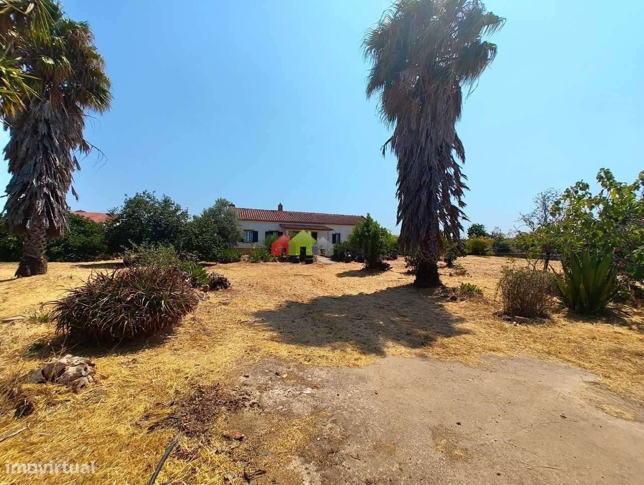 Quinta C/Moradia T2 - Foros de Vale de Figueira-1