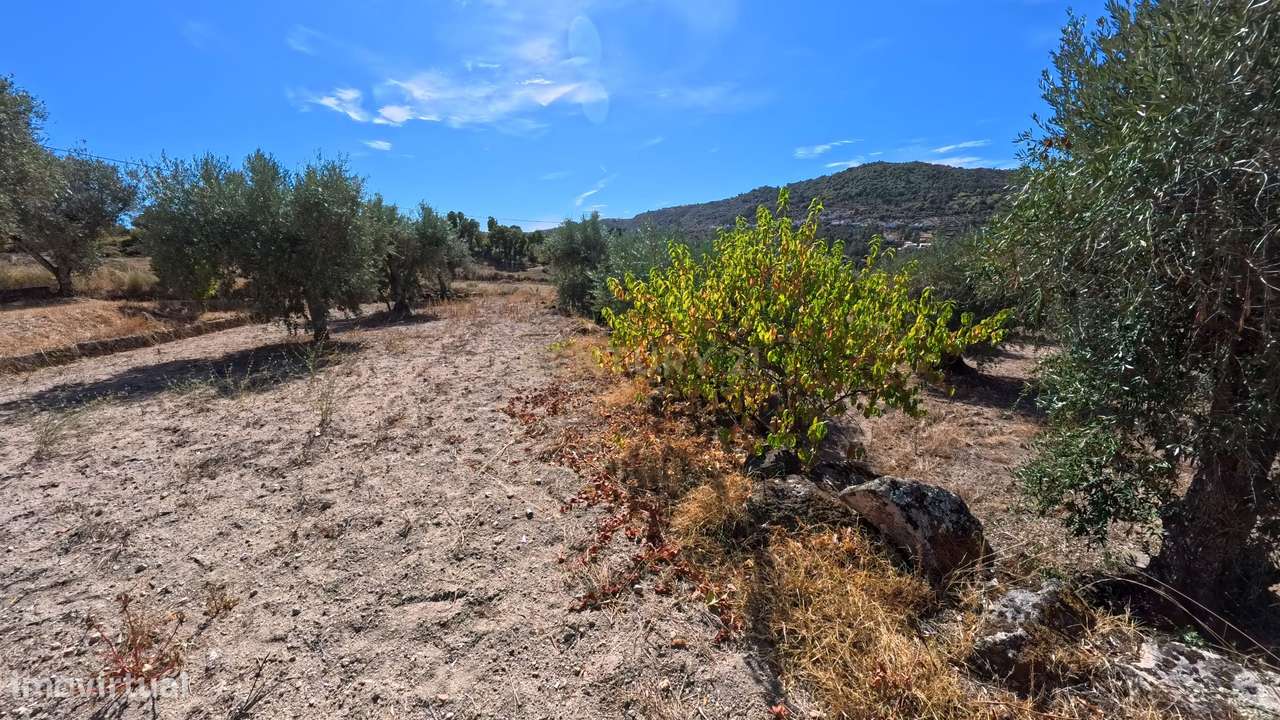 Quinta em Fornos de Algodres - Grande imagem: 3/15