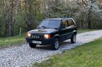 Fiat Panda - 1