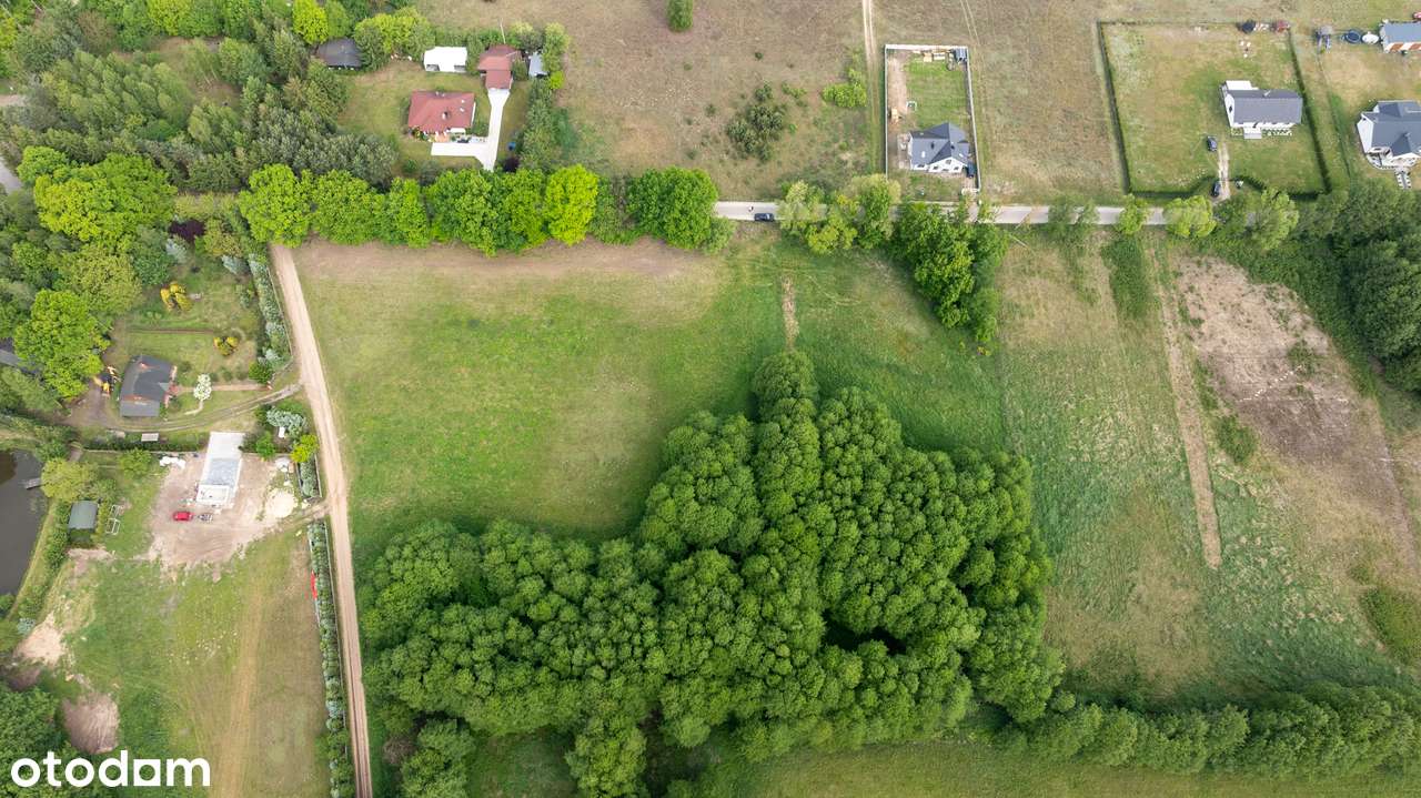 Piękne działki budowlane ze starodrzewiem pod Nowym Tomyślem-10