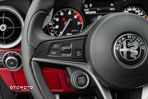 Alfa Romeo Stelvio 2.0 Turbo Executive Q4 - 20