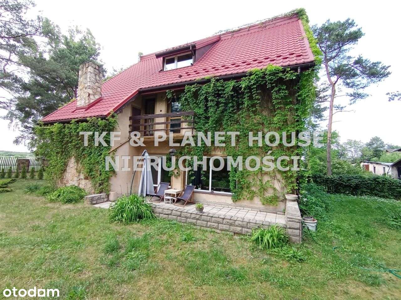 Dom 290m² z działką 9963 m2.Potencjał inwestycyjny - Pełny obrazek: 5/18