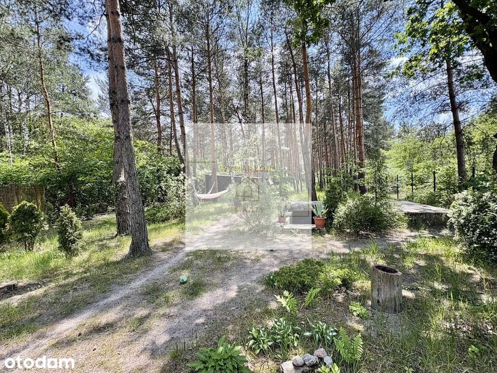 Dom wolnostojący z piękną działką | Józefów - Pełny obrazek: 4/20